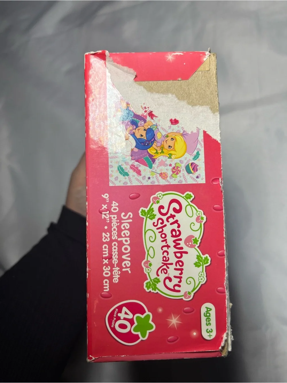 Strawberry Shortcake‎ 2015 Sleepover 40 Piece Puzzle 9x12 American Greetings